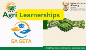 Read more about the article AgriSETA Learnerships for 2025 – Comprehensive Guide