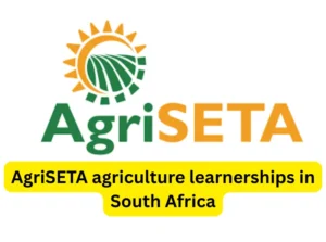 Read more about the article AgriSETA agriculture learnerships in South Africa