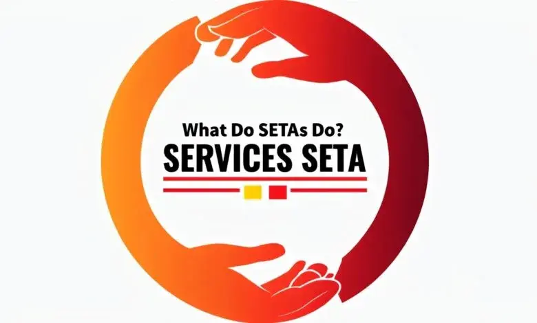 Role of SETA