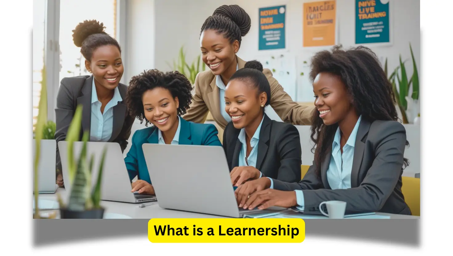 What is a Learnership